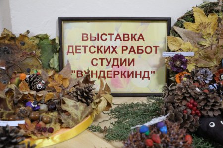 Выставка «Дары осени»